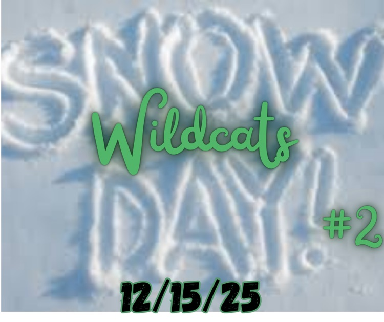 Snow Day #2