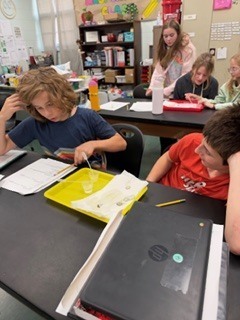 Science4