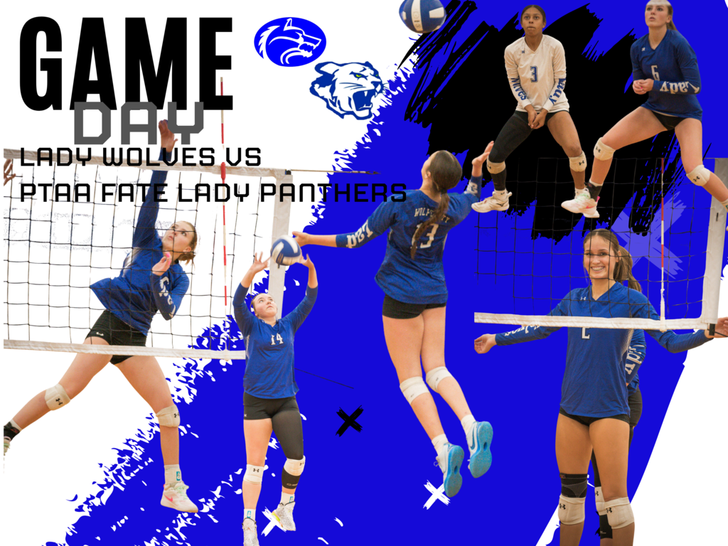 Lady Wolves Volleyball vs PTAA Fate