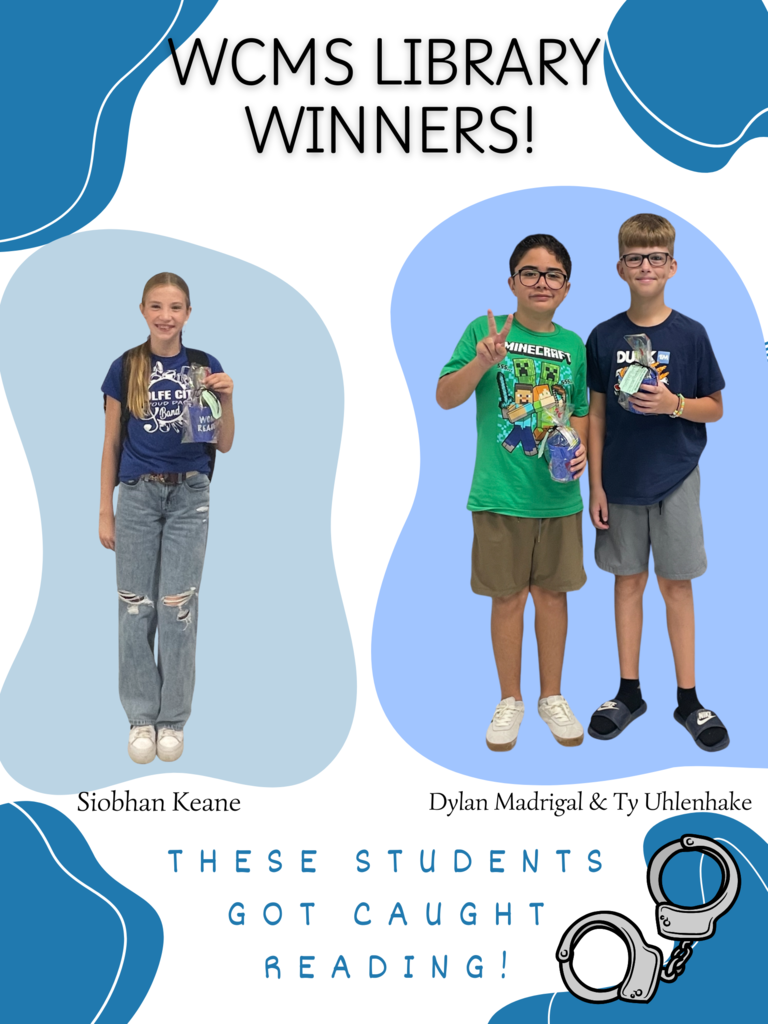 Library winners