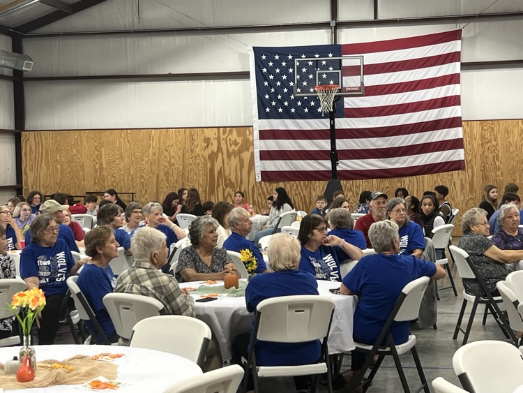 Our Silver Seniors #7