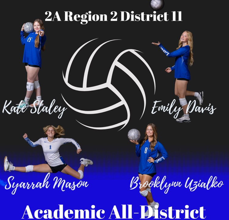 Academic all district