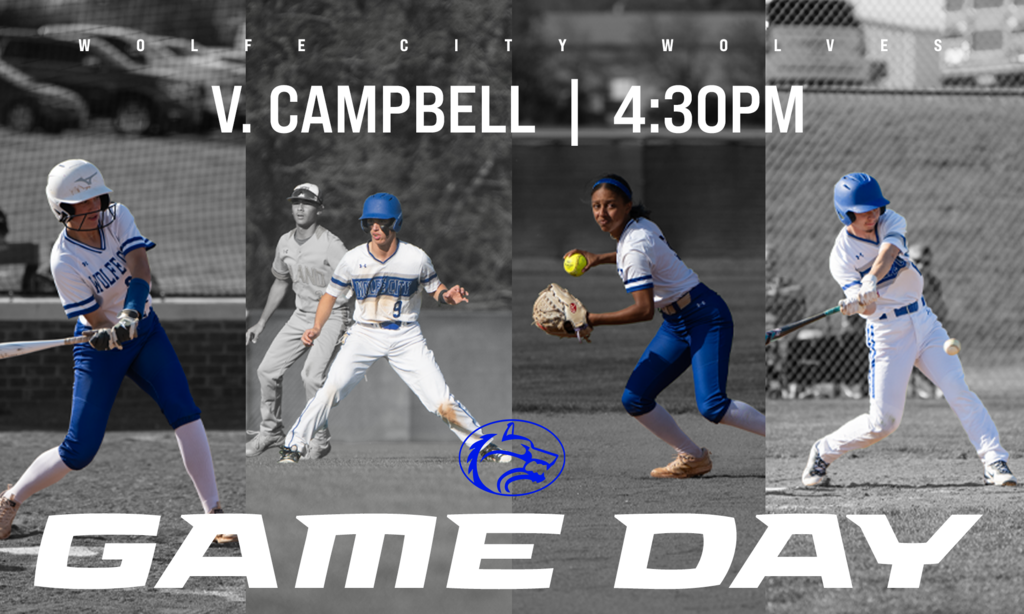 baseball softball graphic for game day