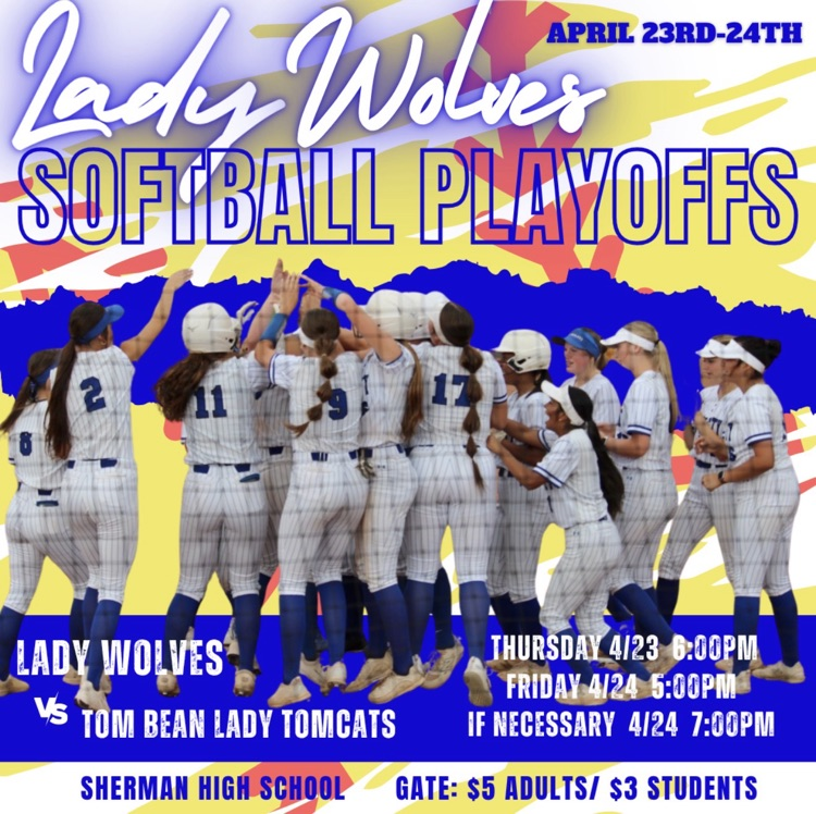 softball Playoff 