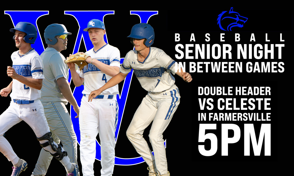 baseball softball graphic for game day
