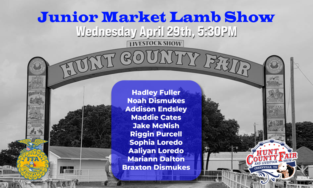 lamb show