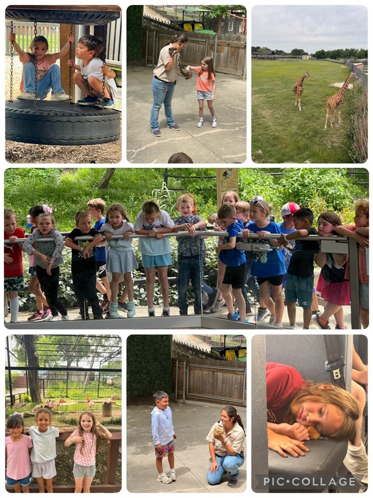 zoo