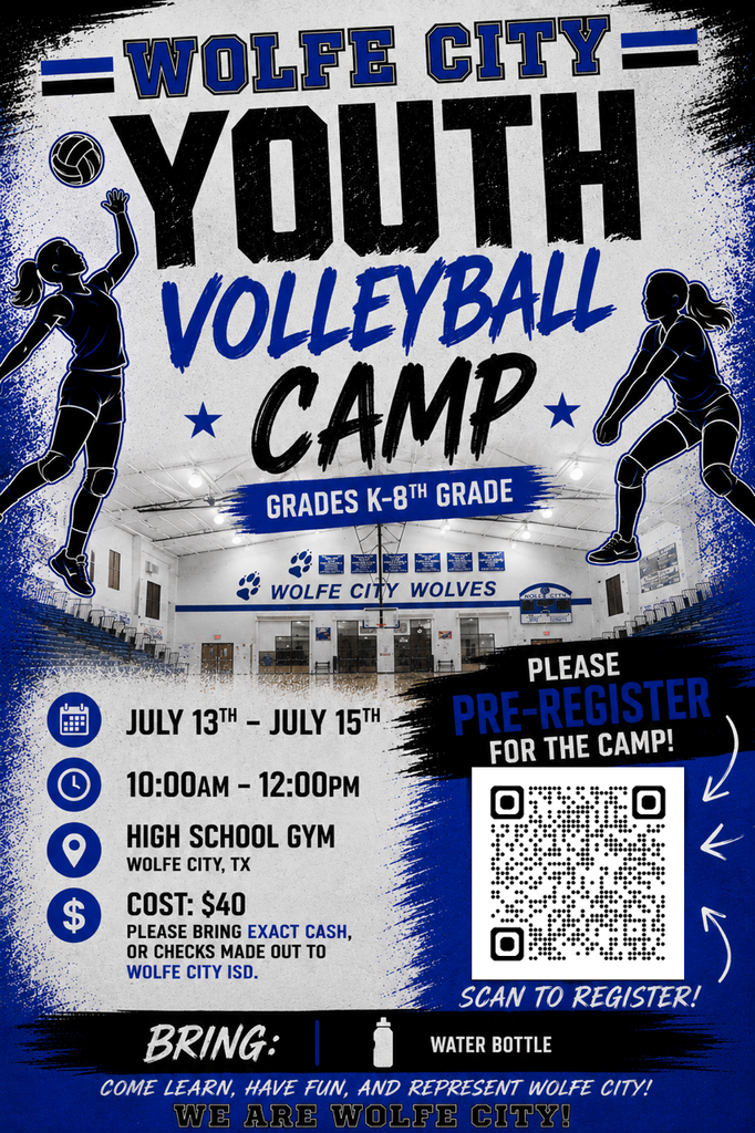 Youth Volleyball Camp