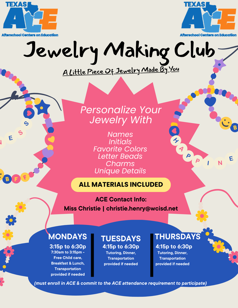 ACE Flyer 2