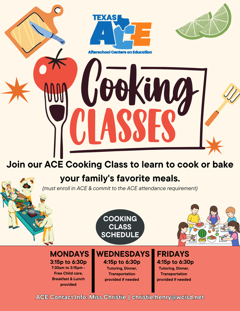 Ace Flyer 3