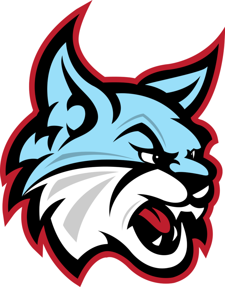 Blennerhassett Bobcat News for 11/19/25