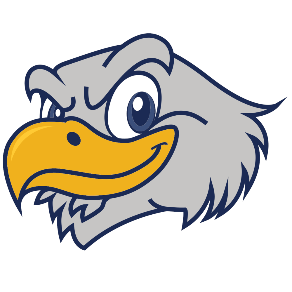 cartoon image as a riverhawk mascot for the new Vienna Elementary School