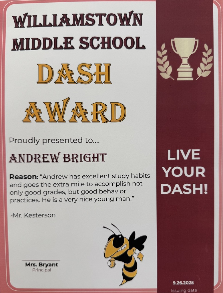 DASH pictures