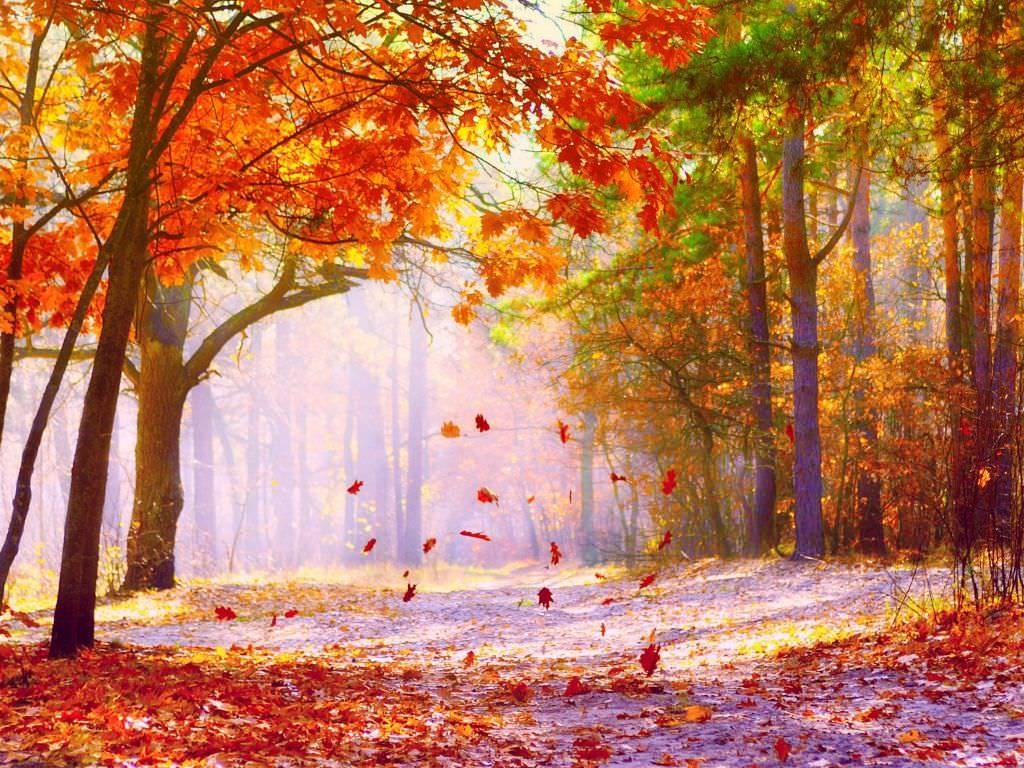 fall
