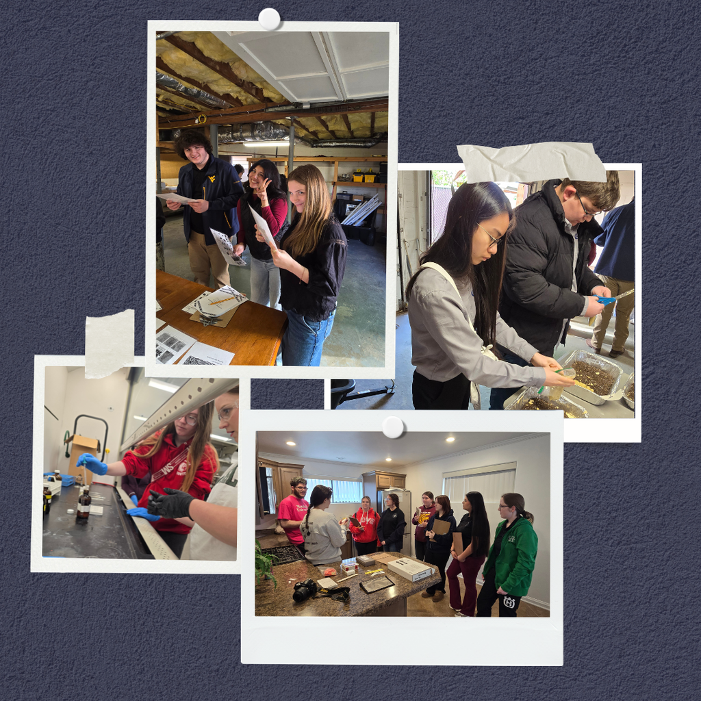 Collage image of students doing CSI activities.
