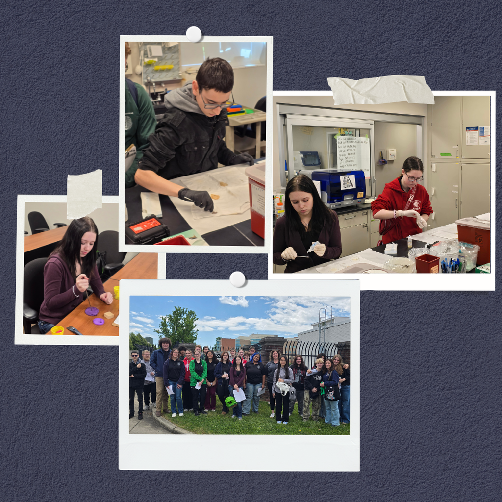 Collage image of students doing CSI activities.