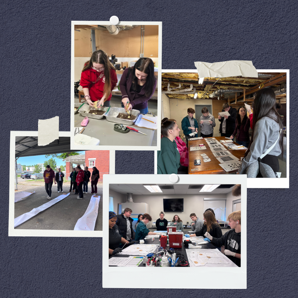 Collage image of students doing CSI activities.
