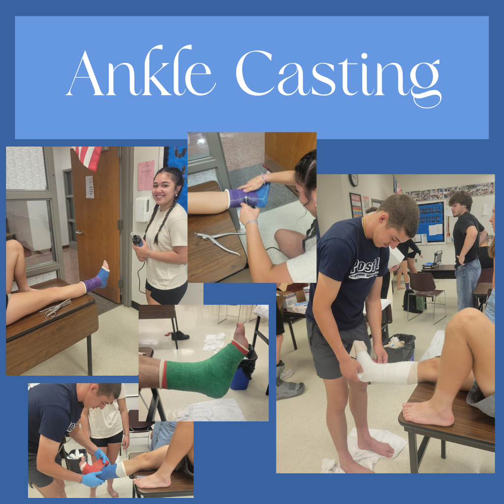Collage of Sports Medicine students practicing ankle casting techniques during hands-on classroom training.