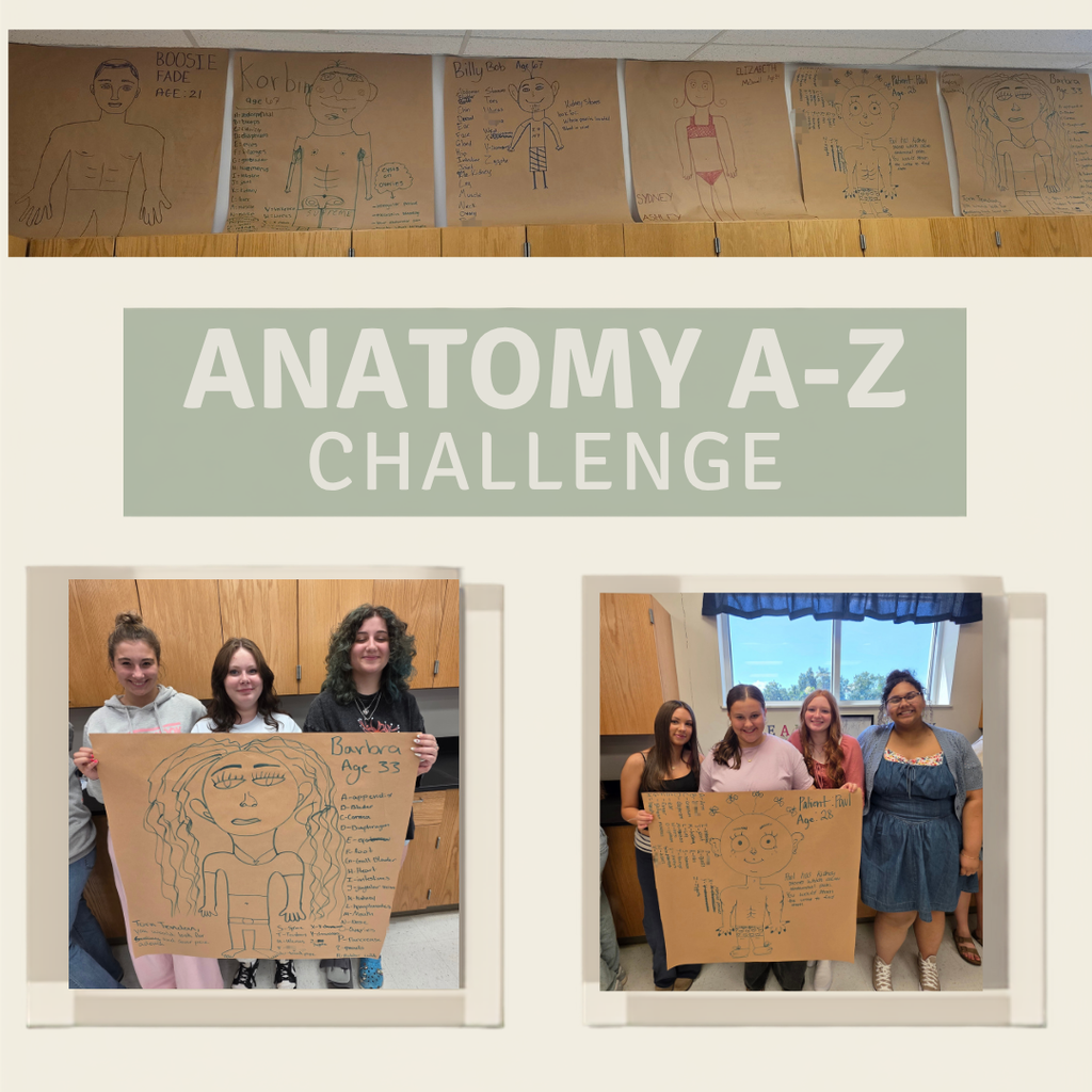 The image is a collage of three photographs: one shows several student-created posters, while the other two show students holding and displaying the posters they made.