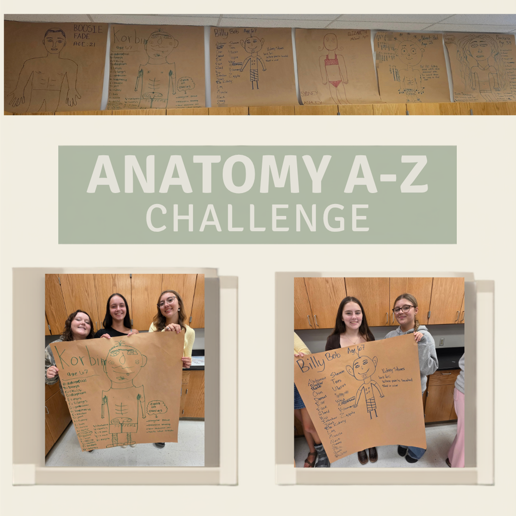 The image is a collage of three photographs: one shows several student-created posters, while the other two show students holding and displaying the posters they made.