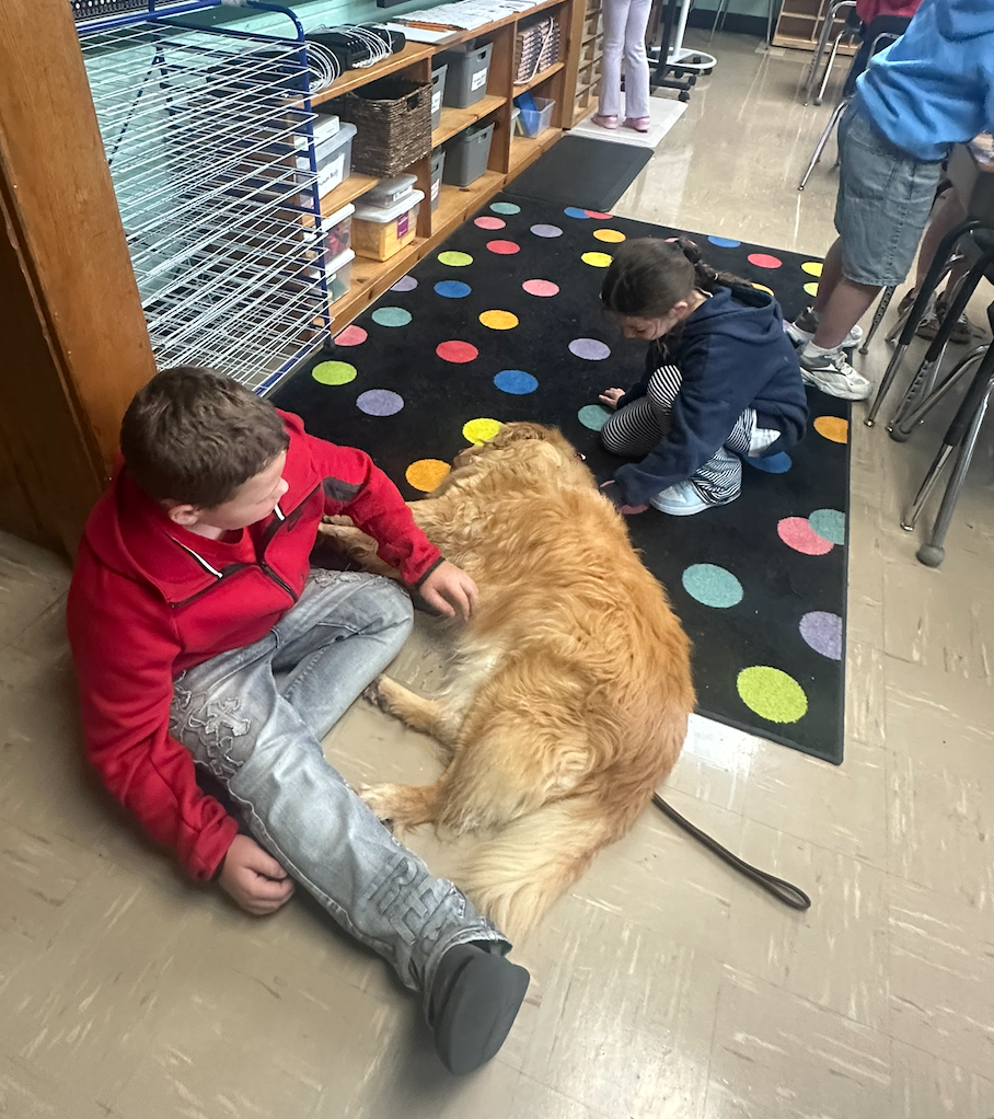 Boy sitting on the floor with the school therapy dog, Molly. Molly is a golden retriever.