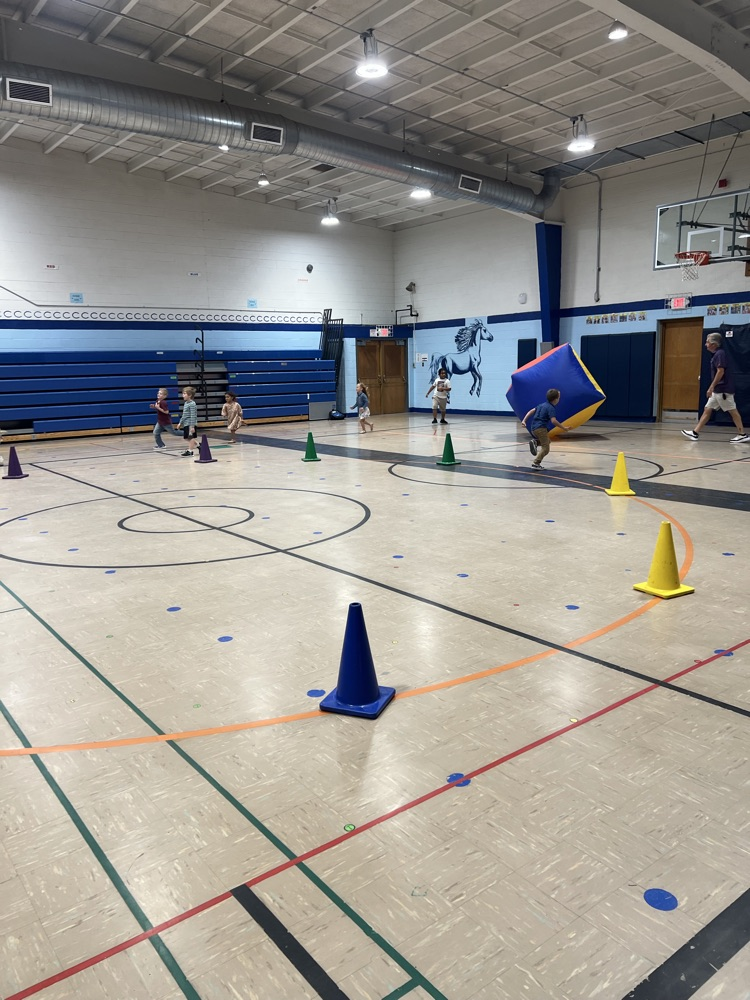 The gymnasium is setup for the ultimate game of tag with traffic cones. students are playing.