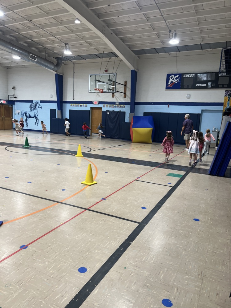 The gymnasium is setup for the ultimate game of tag with traffic cones. students are playing.