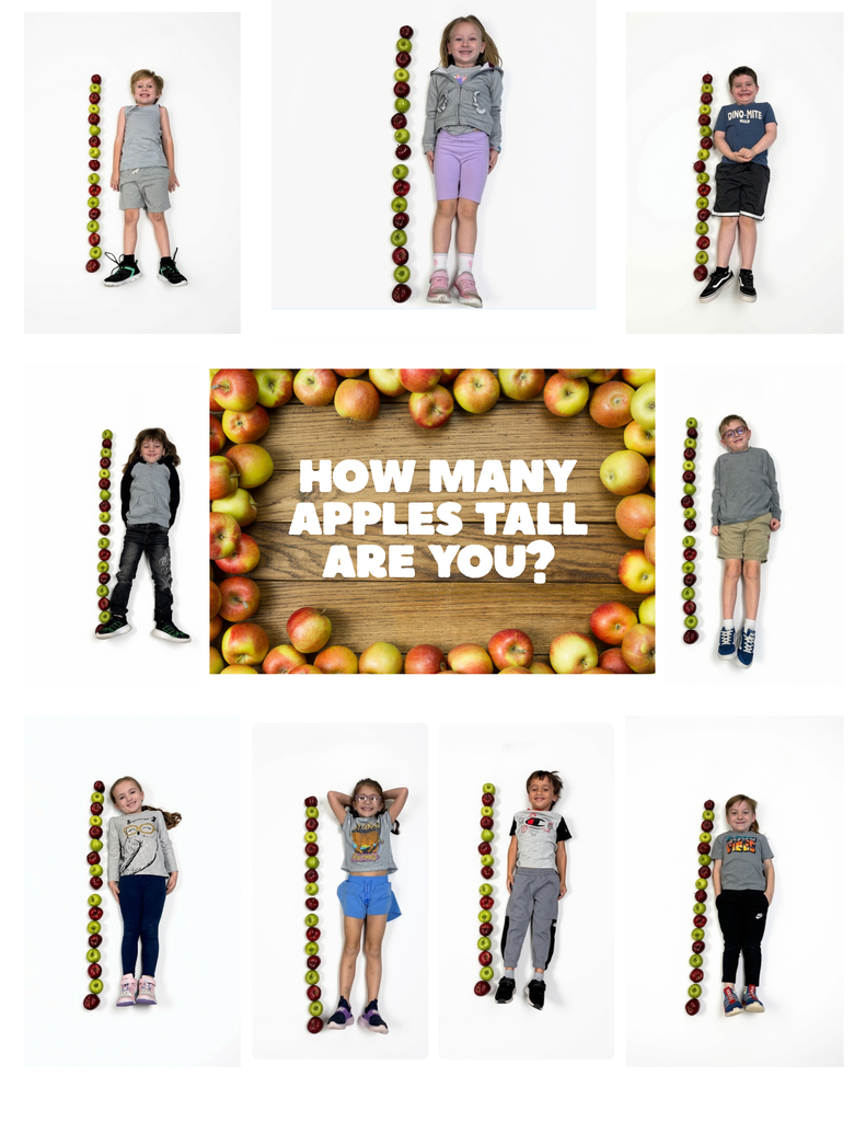 The photo is titled, "How many apples tall are you?" With 9 student photos surround the title. Students are laying down with a white background with apples lined up next to them.