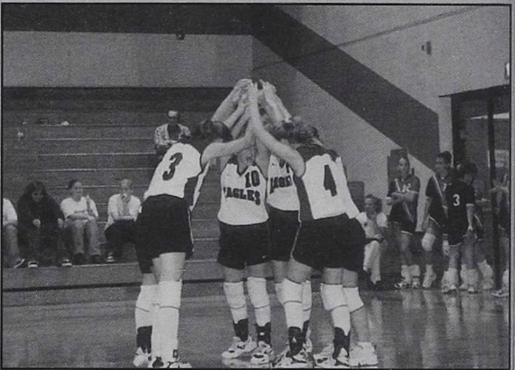 volleyball