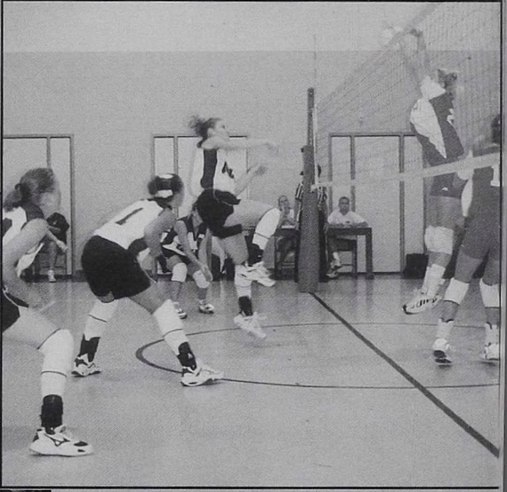 volleyball