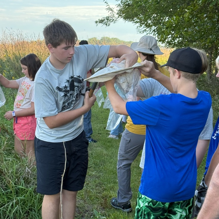 catching insects and monarch butterflies