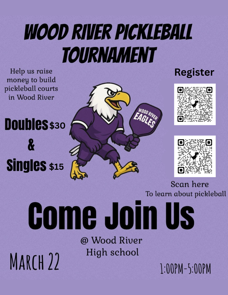 pickleball tournament poster