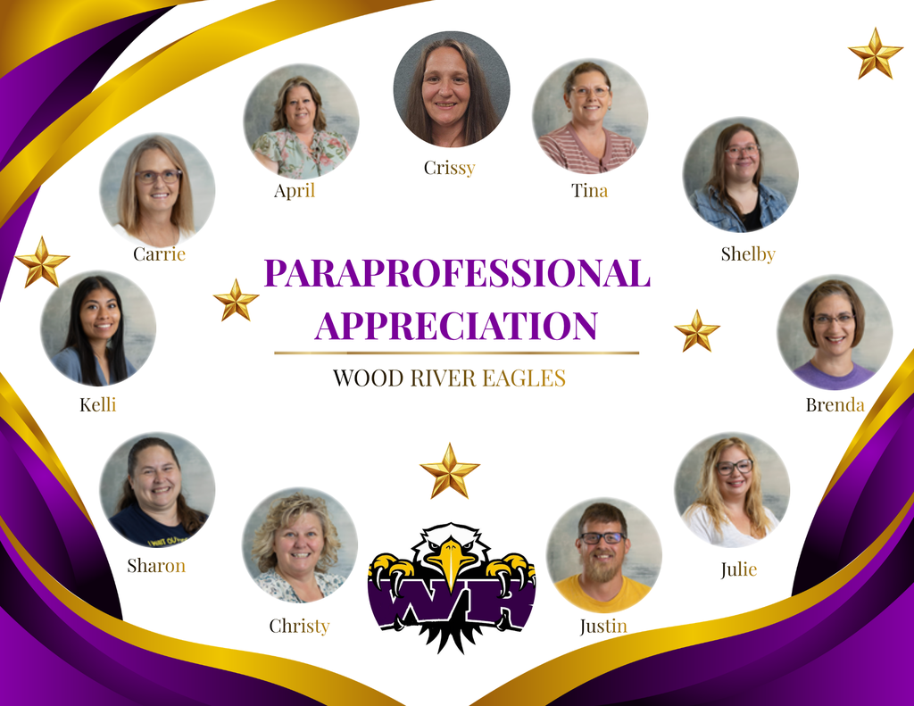 paraprofessional day