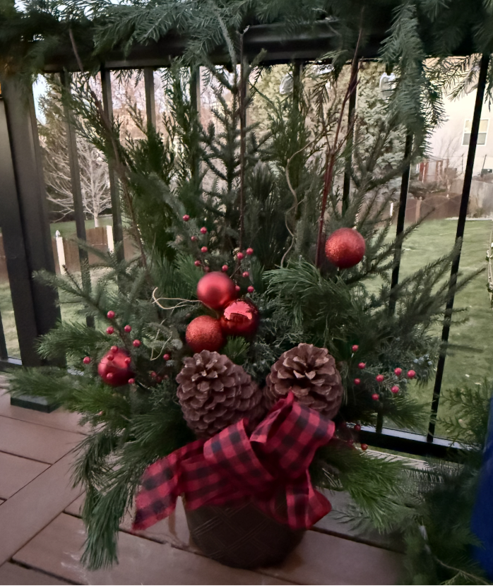 holiday pot red