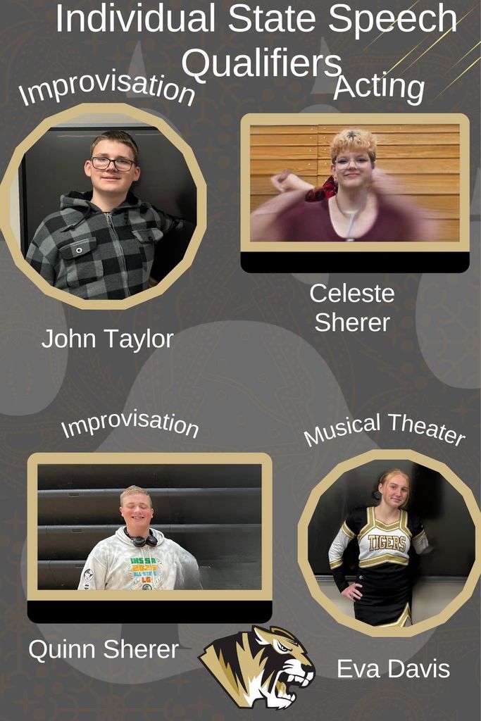 Individual State Speech Qualifiers