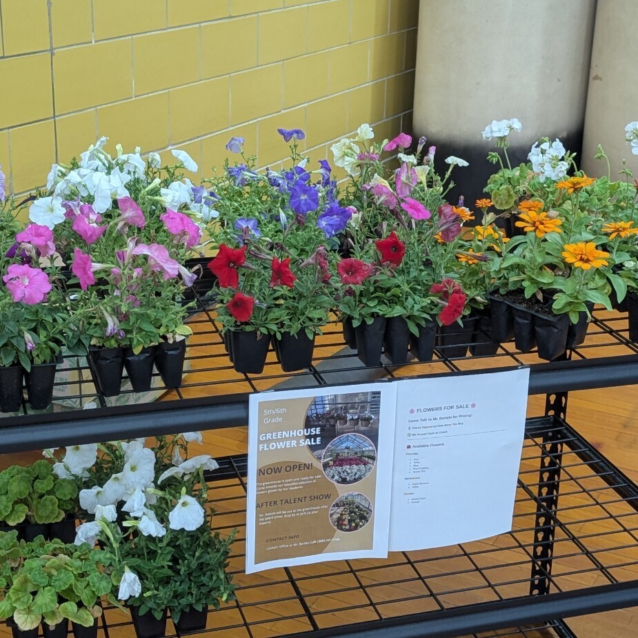 Flowers