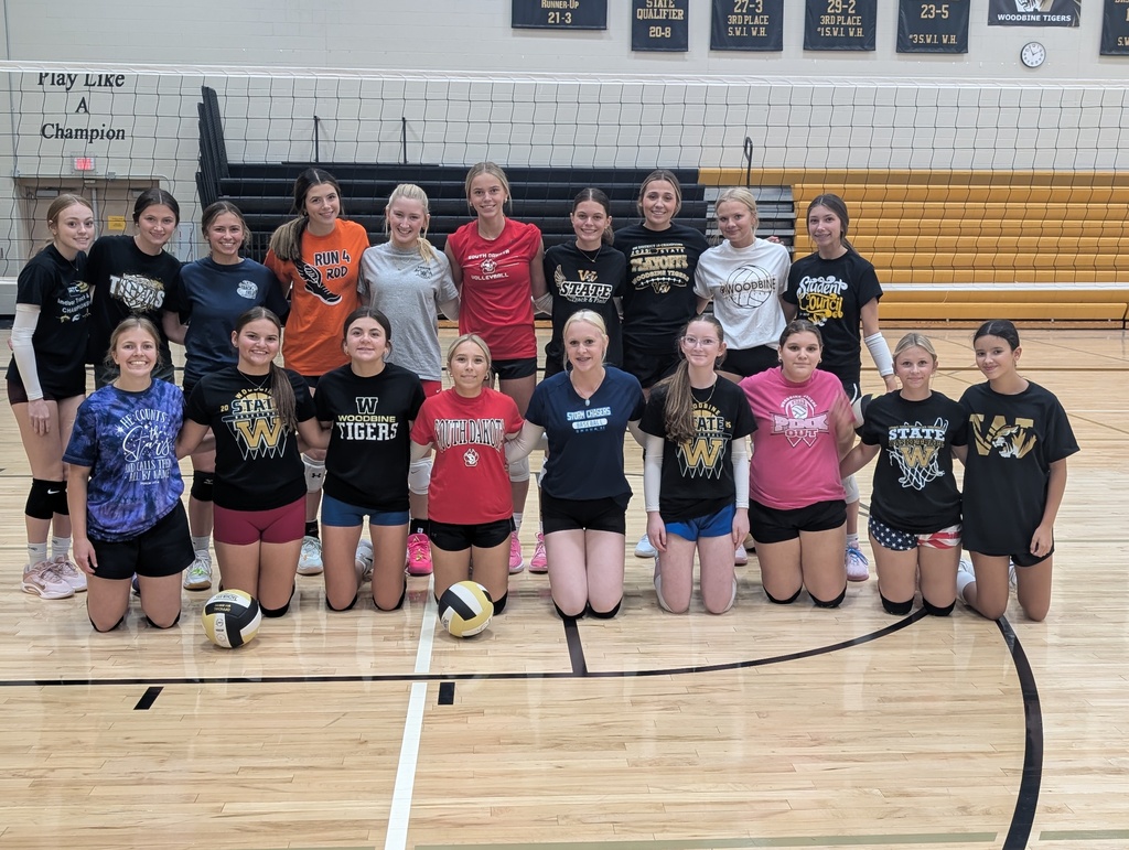 HS VB Team