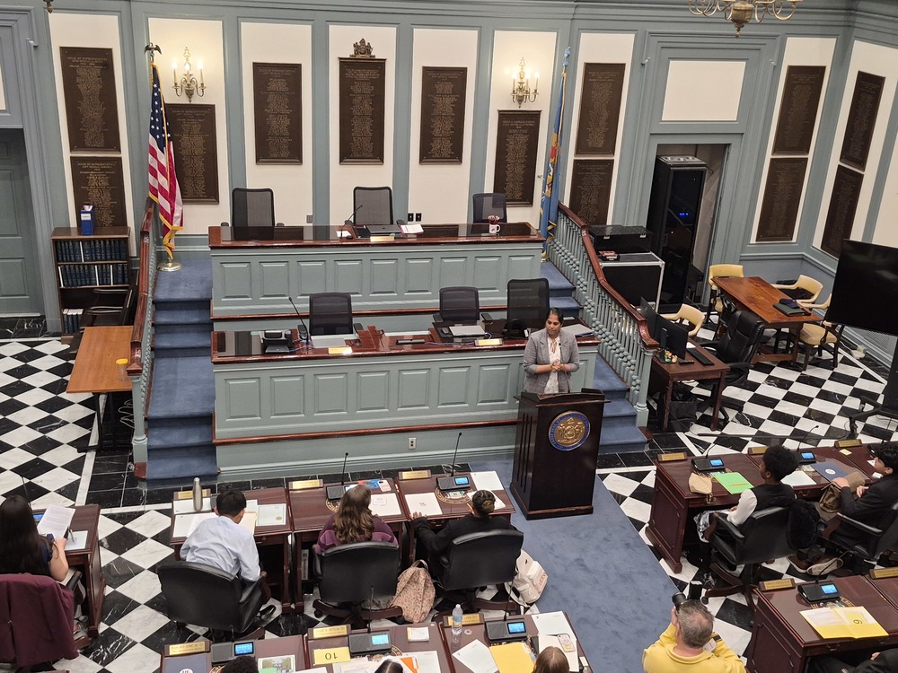 Mock Congress