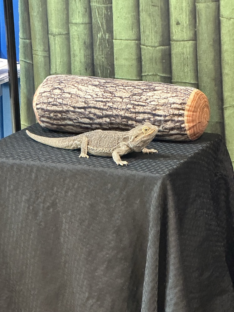 zoo