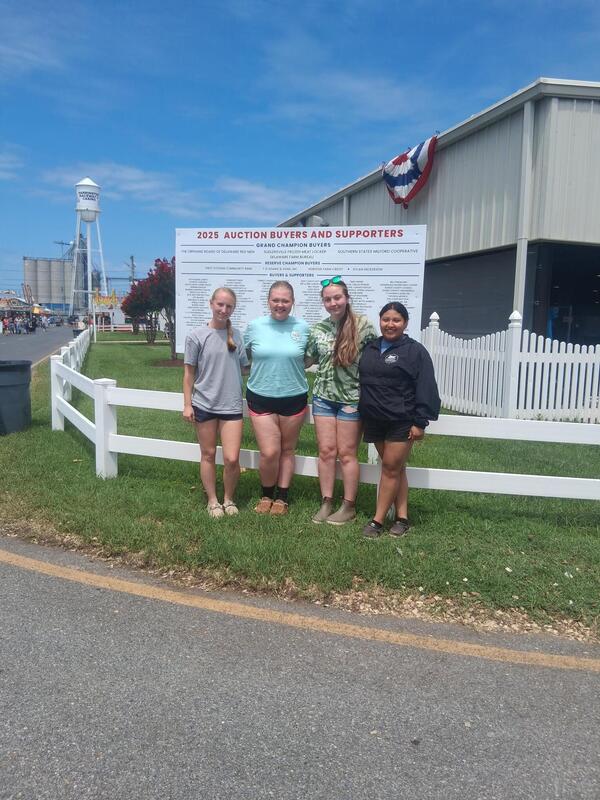 Students in Swine Competition