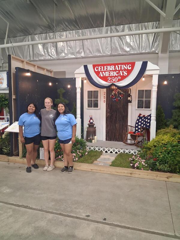 FFA Display
