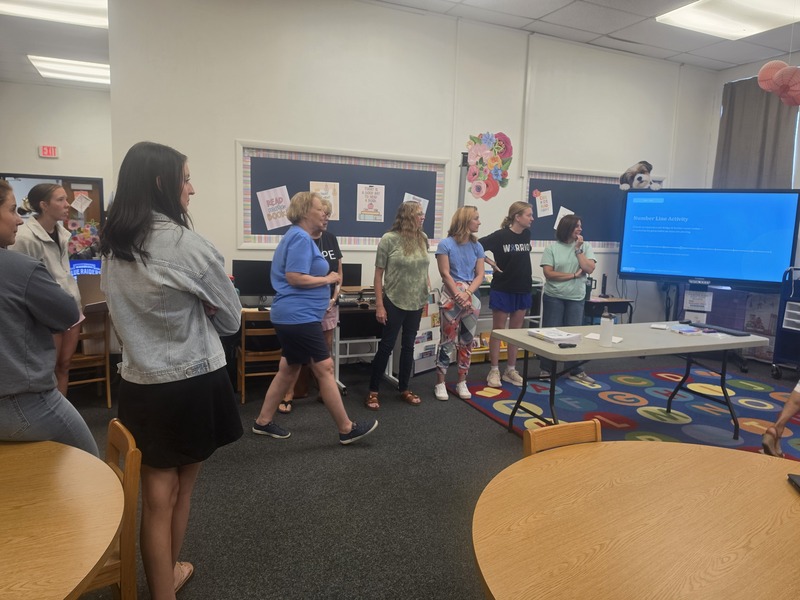 Bridges in Mathematics training