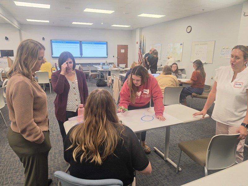 Bridges in Mathematics training