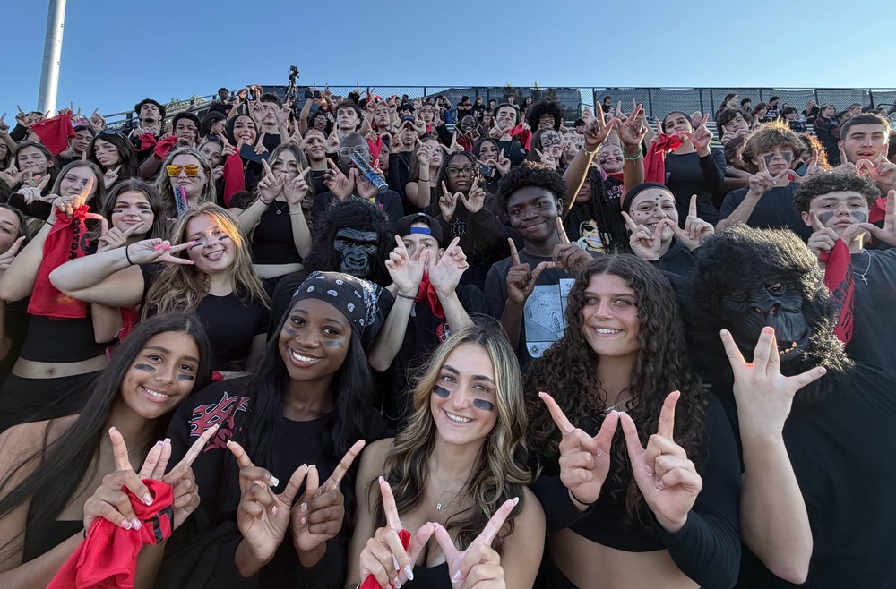 Student Section