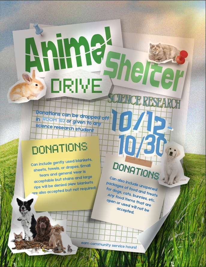 Donation Flyer