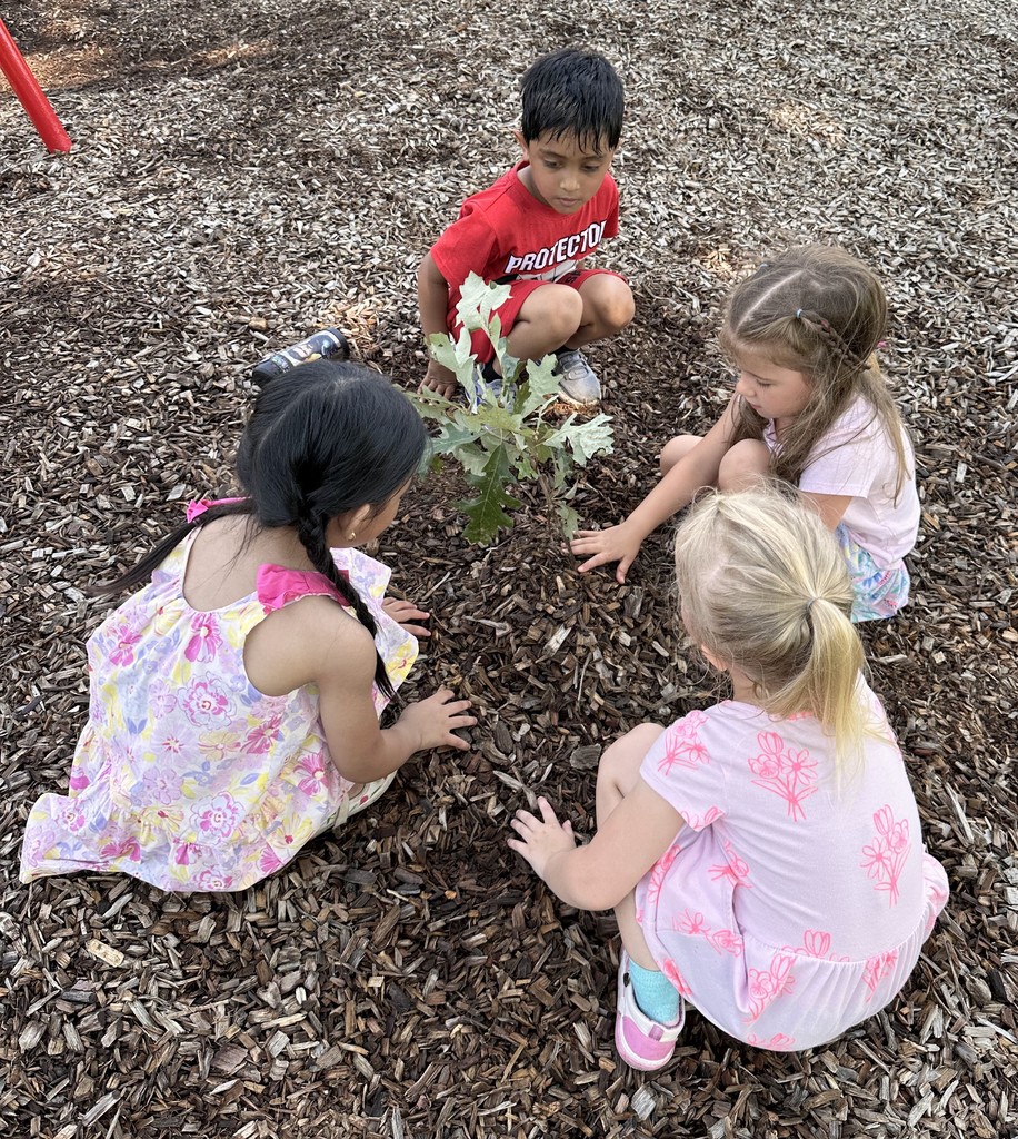 Summer Learning