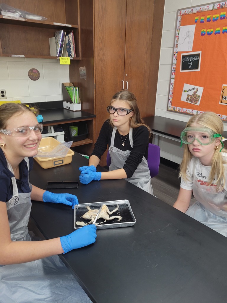 frog dissection