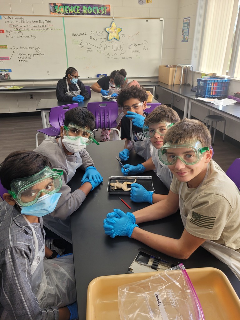 frog dissection