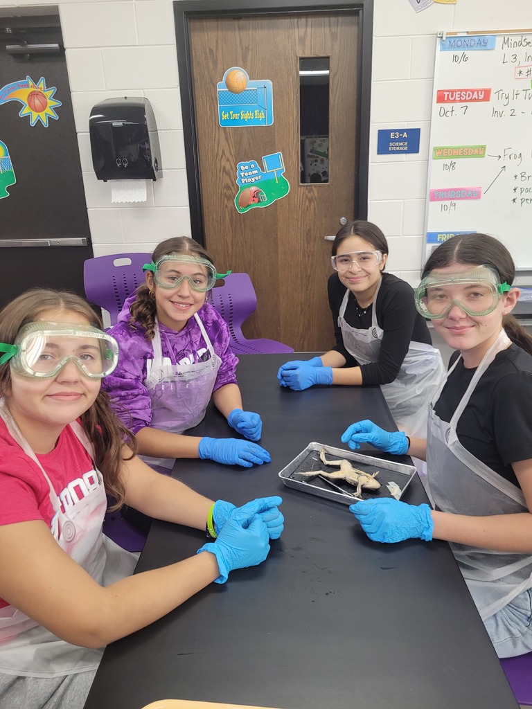 frog dissection