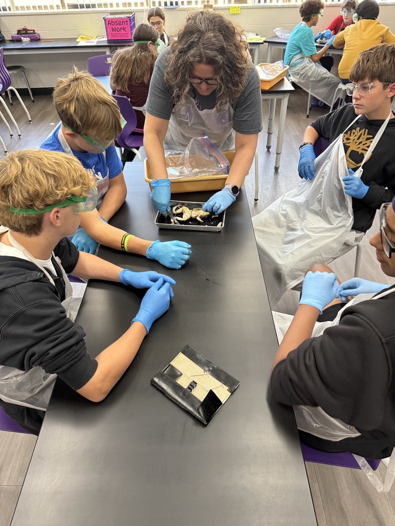 frog dissection